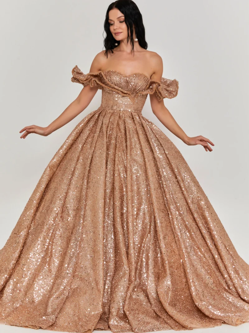 Zara Off Shoulder Maxi Tulle Regular Engagement Dress dns3485