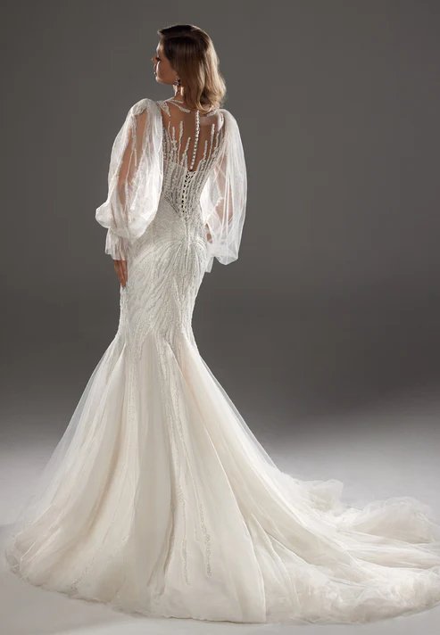 Long Sleeve Maxi Tulle Regular Wedding Dress bnc8041